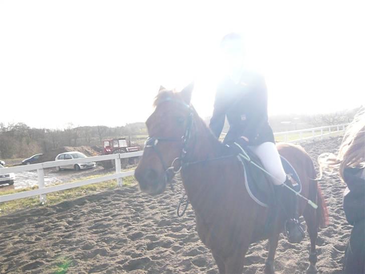 Skovvang Rideklub - D. 15 November +09 billede 52