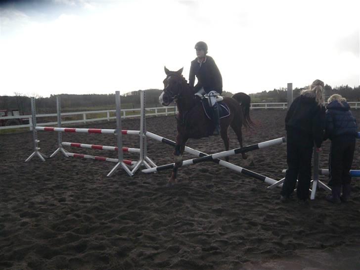 Skovvang Rideklub - D. 15 November +09 billede 53