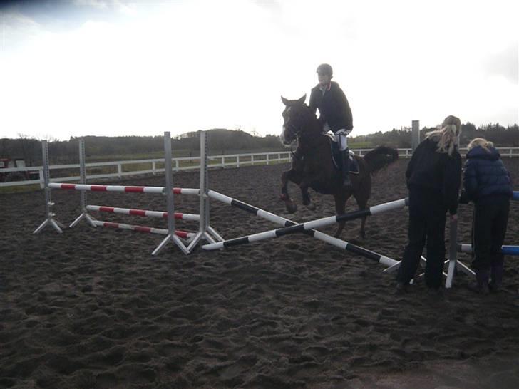 Skovvang Rideklub - D. 15 November +09 billede 54