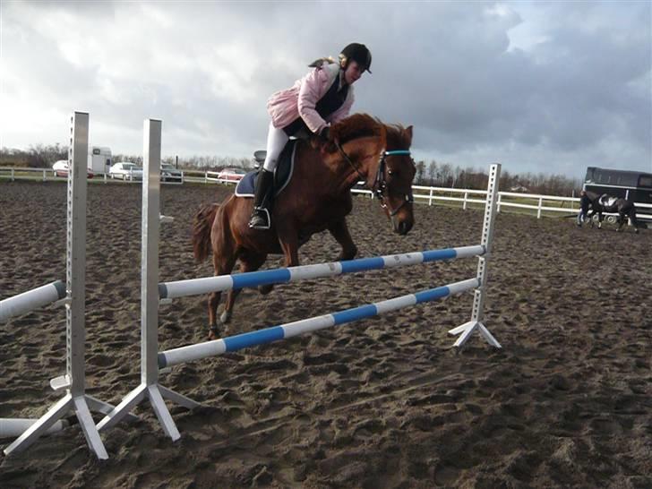 Skovvang Rideklub - D. 15 November +09 billede 56