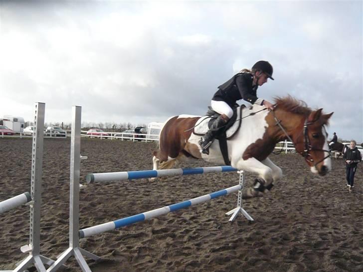 Skovvang Rideklub - D. 15 November +09 billede 57