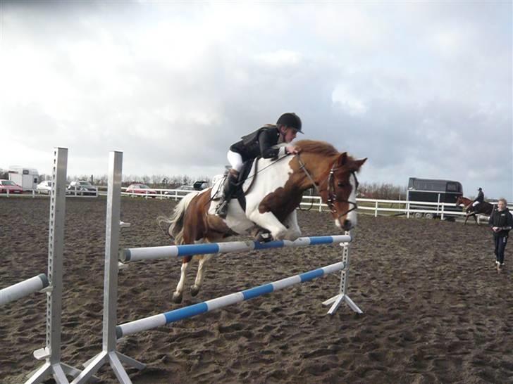 Skovvang Rideklub - D. 15 November +09 billede 58