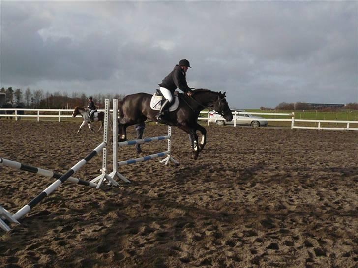 Skovvang Rideklub - D. 15 November +09 billede 59