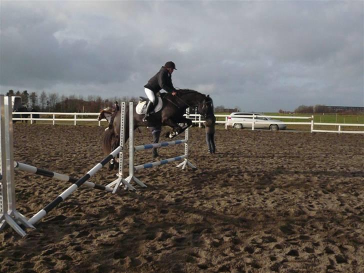 Skovvang Rideklub - D. 15 November +09 billede 60