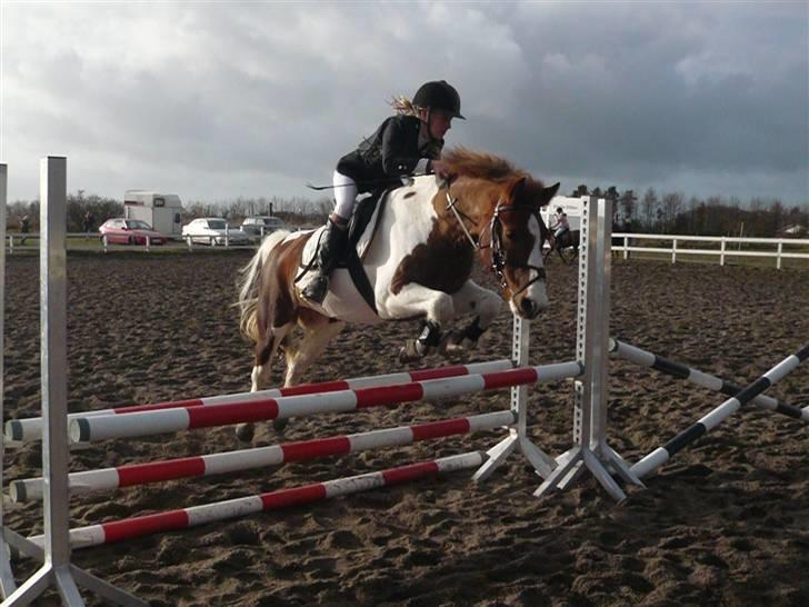 Skovvang Rideklub - D. 15 November +09 billede 61