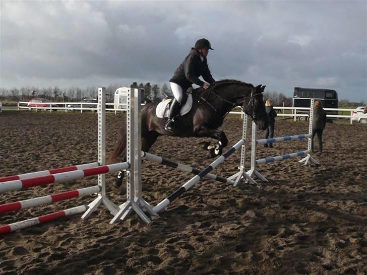 Skovvang Rideklub - D. 15 November +09 billede 62