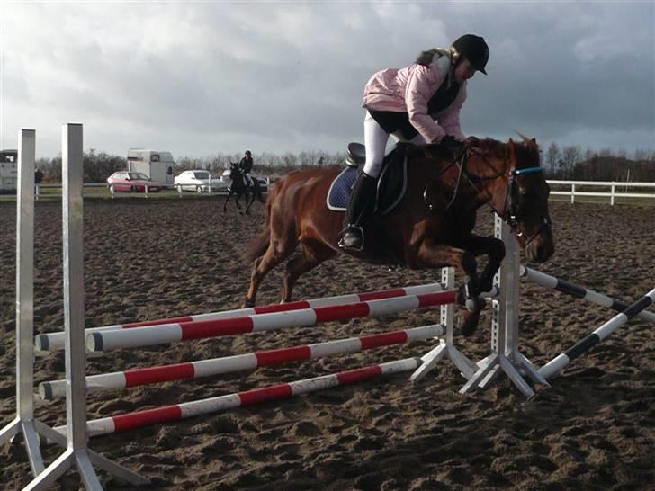 Skovvang Rideklub - D. 15 November +09 billede 63