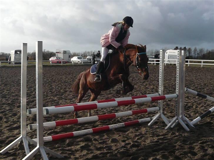 Skovvang Rideklub - D. 15 November +09 billede 64