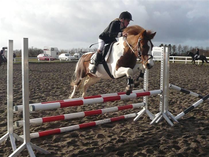 Skovvang Rideklub - D. 15 November +09 billede 65