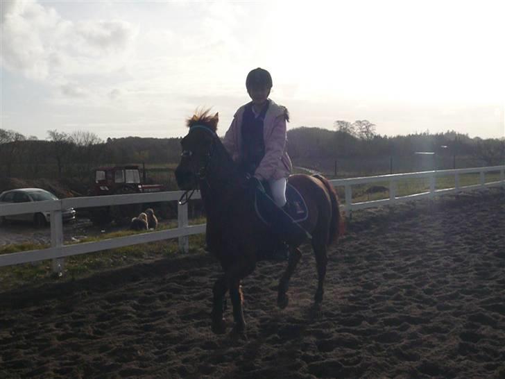 Skovvang Rideklub - D. 15 November +09 billede 72