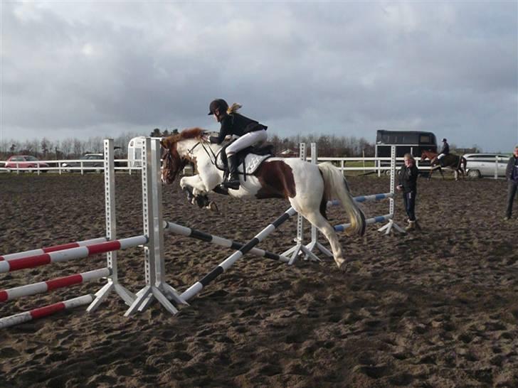 Skovvang Rideklub - D. 15 November +09 billede 73