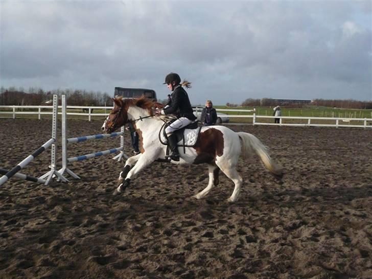 Skovvang Rideklub - D. 15 November +09 billede 74