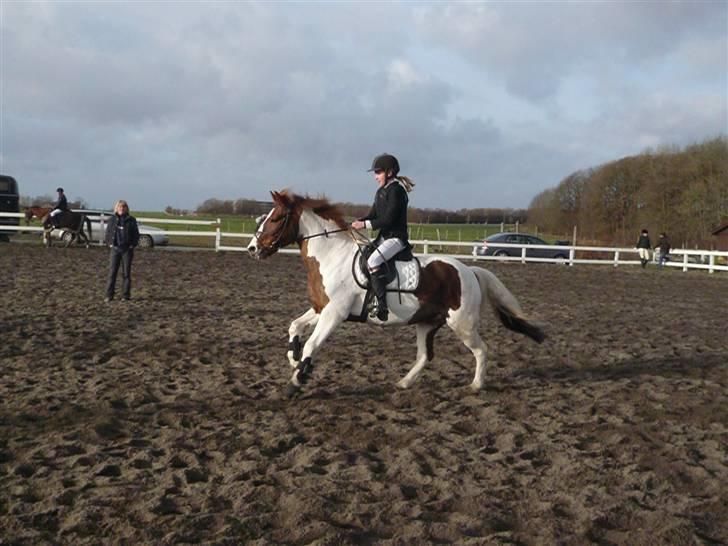 Skovvang Rideklub - D. 15 November +09 billede 75