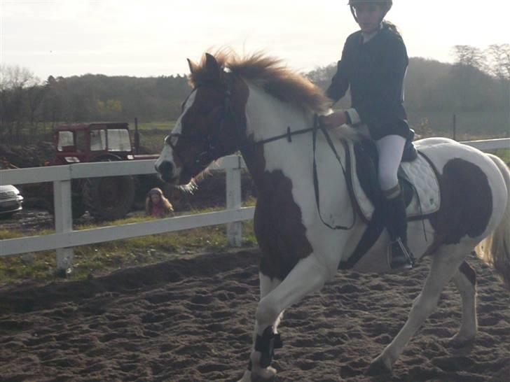 Skovvang Rideklub - D. 15 November +09 billede 77