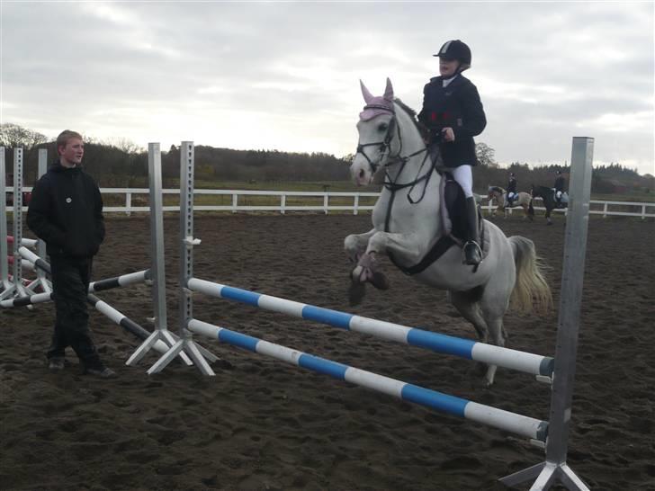 Skovvang Rideklub - D. 15 November +09 billede 80