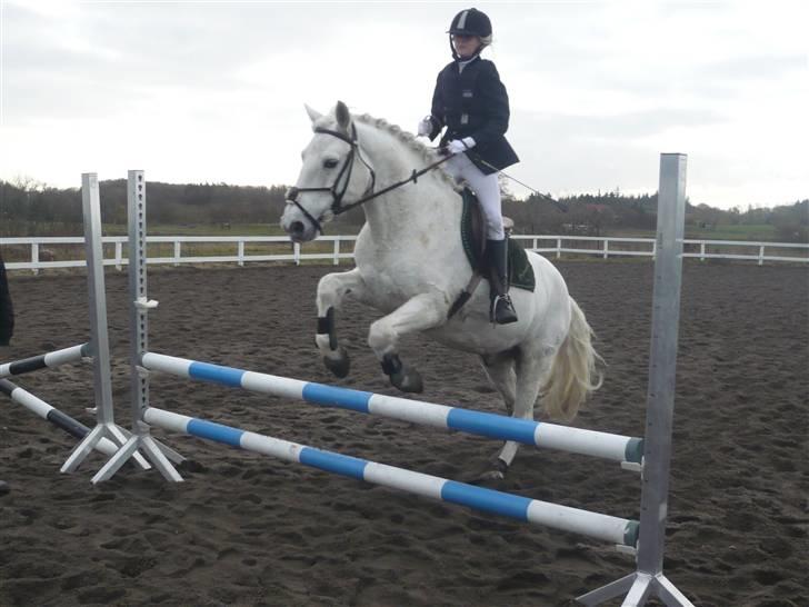 Skovvang Rideklub - D. 15 November +09 billede 82