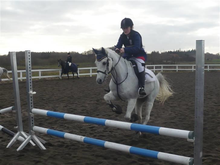 Skovvang Rideklub - D. 15 November +09 billede 83