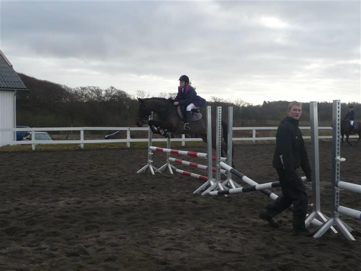 Skovvang Rideklub - D. 15 November +09 billede 85
