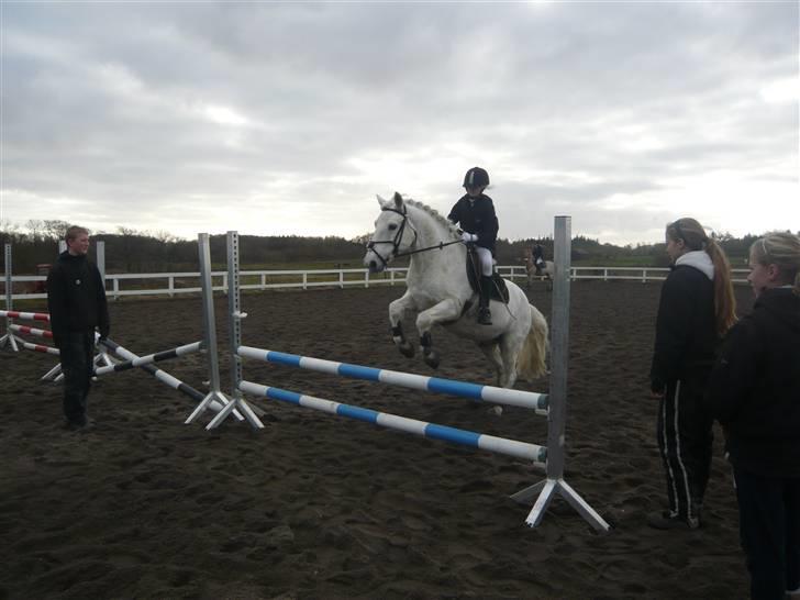 Skovvang Rideklub - D. 15 November +09 billede 86