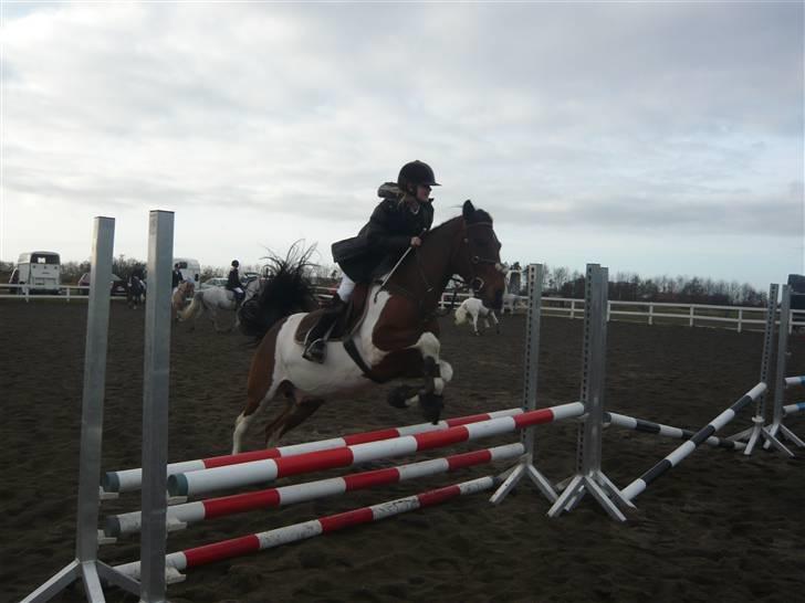 Skovvang Rideklub - D. 15 November +09 billede 87