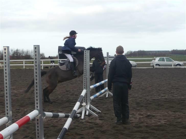 Skovvang Rideklub - D. 15 November +09 billede 88