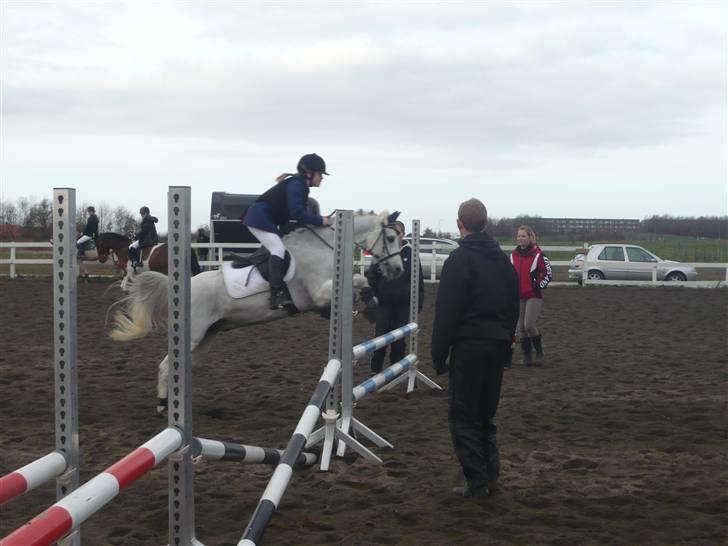 Skovvang Rideklub - D. 15 November +09 billede 89