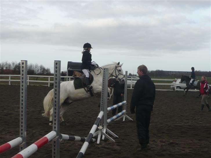 Skovvang Rideklub - D. 15 November +09 billede 90