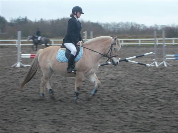 Skovvang Rideklub - D. 15 November +09 billede 92