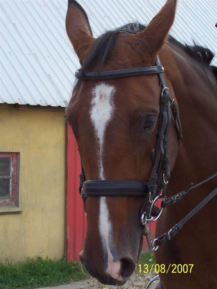 Bækgårdens Hayway - Gammelt billede af Hayway billede 1