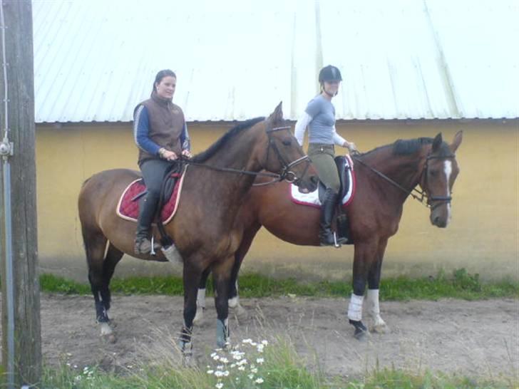 Bækgårdens Hayway - Min bedste veninde mia og jeg billede 6