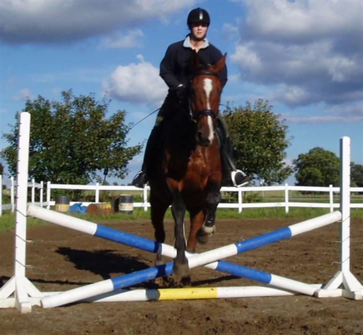 Bækgårdens Hayway - Lidt bedre billede 9