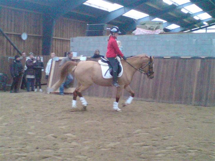 {{currentPhoto.altText}} billede {{currentPhoto.number}}