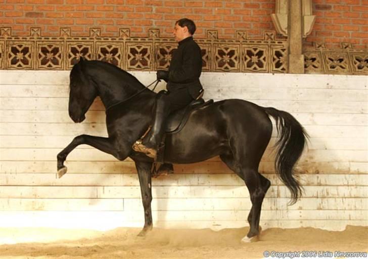 © Mine tegninger :) - Dette er et billede af mit idol, Alexander Nevzorov, som jeg har tegnet en tegning af, som ses i de næste billeder. Smid en kommentar, tager gerne i mod konstruktiv kritik og ros hvis I har noget der ;) billede 23