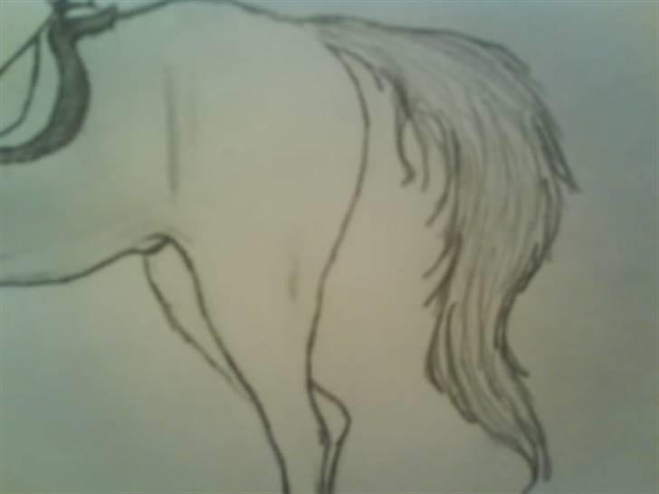 © Mine tegninger :) - (Blandet rækkefølge) Alexander på en af sine dejlige heste. - Har ikke fået lagt billedet ind nu, hvor detaljerne er tegnet helt færdigt, dens muskulatur mangler at blive indtegnet bedre her på billedet, men dette er jeg opmærksom på :) billede 26