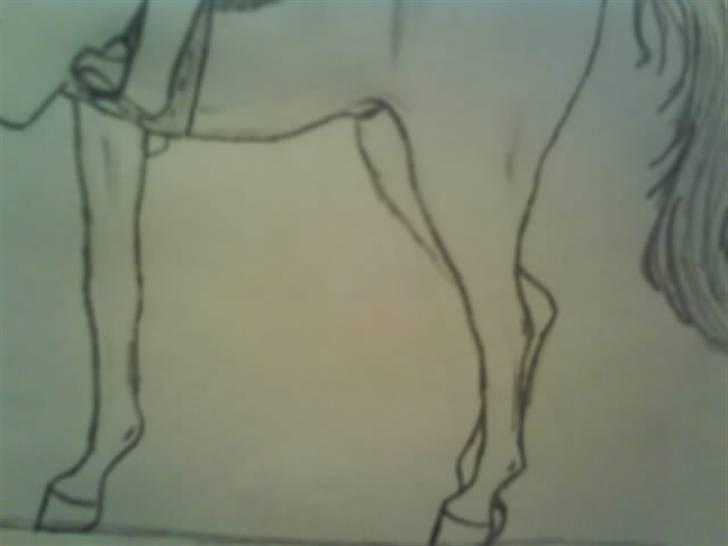 © Mine tegninger :) - (Blandet rækkefølge) Alexander på en af sine dejlige heste. - Har ikke fået lagt billedet ind nu, hvor detaljerne er tegnet helt færdigt, dens muskulatur mangler at blive indtegnet bedre her på billedet, men dette er jeg opmærksom på :) billede 27