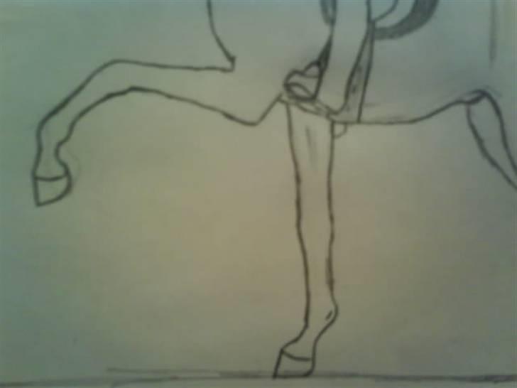 © Mine tegninger :) - (Blandet rækkefølge) Alexander på en af sine dejlige heste. - Har ikke fået lagt billedet ind nu, hvor detaljerne er tegnet helt færdigt, dens muskulatur mangler at blive indtegnet bedre her på billedet, men dette er jeg opmærksom på :) billede 28