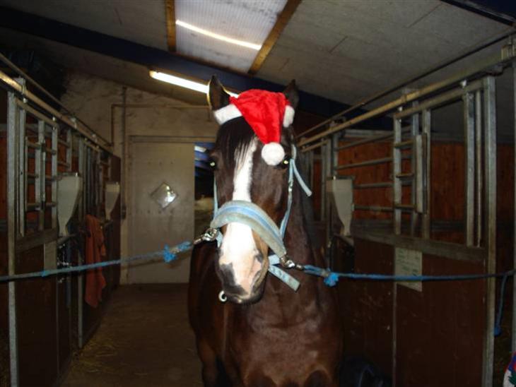 {{currentPhoto.altText}} billede {{currentPhoto.number}}