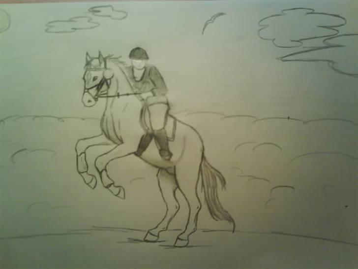 © Mine tegninger :) - Hesten Latino, ejet af .°º•¤ Mimmi ¤•º° . Team Ma-Jasmin xDD .på HesteGalleri.
- Jeg har måttet improvisere lidt med ørerne og dele af hovedet og med dig på hesten, da dit billede har været lidt utydeligt nogle steder, men jeg har prøvet så godt jeg kunne :)
Link: http://www.hestegalleri.dk/html/gal_visbil.asp?ID=129939 billede 33