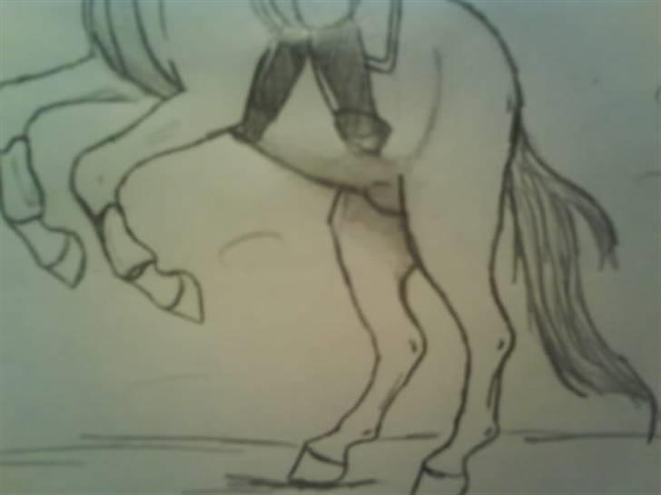 © Mine tegninger :) - Hesten Latino, ejet af .°º•¤ Mimmi ¤•º° . Team Ma-Jasmin xDD .på HesteGalleri.
Link: http://www.hestegalleri.dk/html/gal_visbil.asp?ID=129939 billede 34