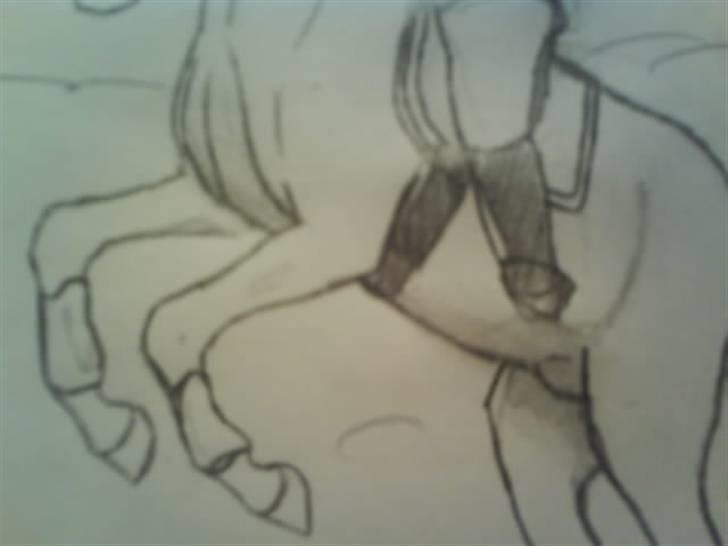 © Mine tegninger :) - Hesten Latino, ejet af .°º•¤ Mimmi ¤•º° . Team Ma-Jasmin xDD .på HesteGalleri.
Link: http://www.hestegalleri.dk/html/gal_visbil.asp?ID=129939 billede 35