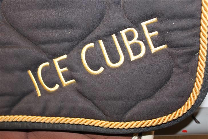 Mega nice underlag ;D - Savn på tiderne :'(

Eskadron underlag - Konfirmationsgave billede 2