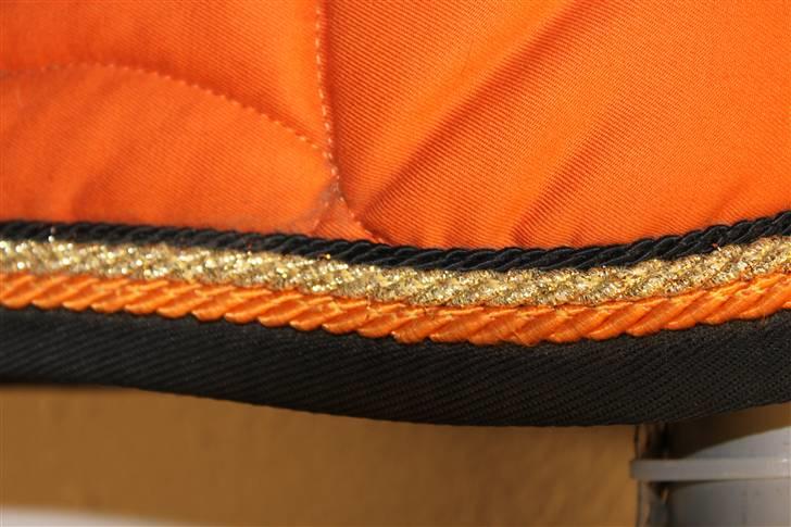 Mega nice underlag ;D - Scaparti - købt til Ice Cube i august lige 2 uger inden han blev halt, men ligeså pænt til Pearl :') billede 10