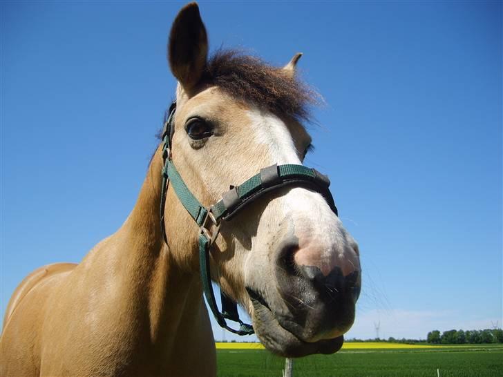 Marong<3(: - Sommer 2006<3 :) billede 6