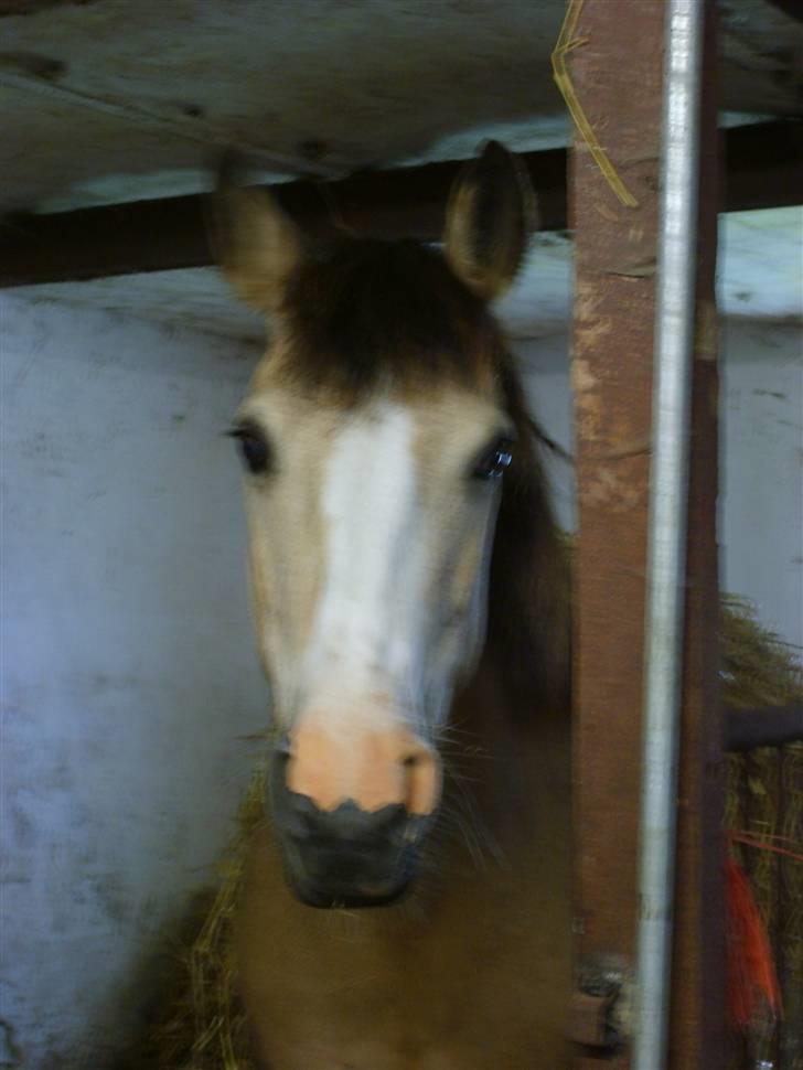 Marong<3(: - <33. (undskyld kvalitet) billede 8