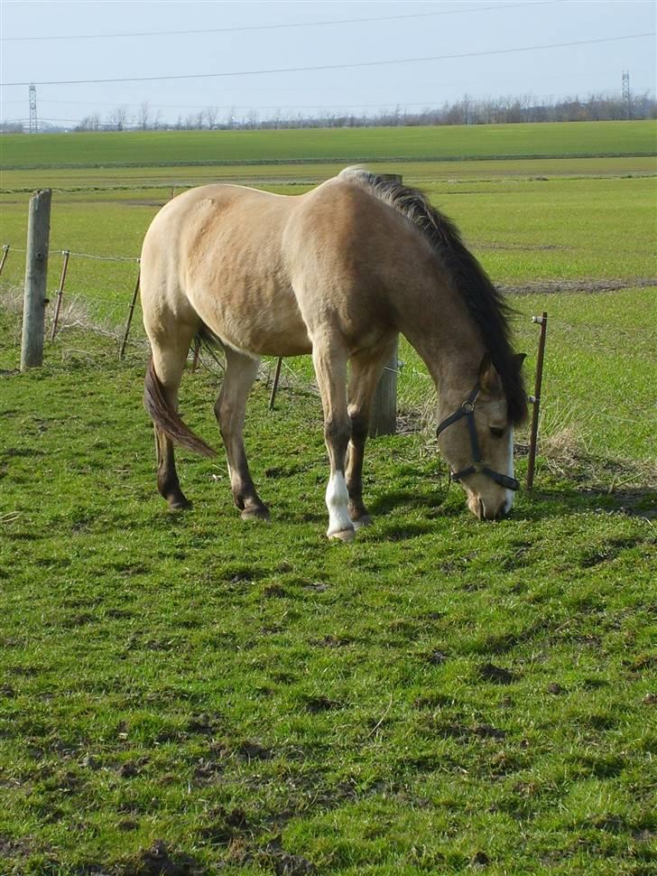 Marong<3(: - Efterår 2006. billede 10