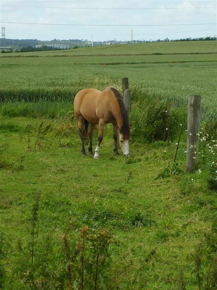 Marong<3(: - På hans gamle mark :)<3 billede 11