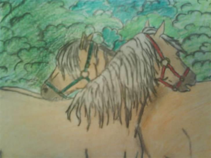 © Mine tegninger :) - Sofies haflinger, Mariella, sammen med en ven. :)
Her på HesteGalleri hedder Sofie     .~ Vi To * <33 .
Der kan I se det oprindelige billede :)
Link: http://www.hestegalleri.dk/html/gal_visbil.asp?ID=129005 billede 40