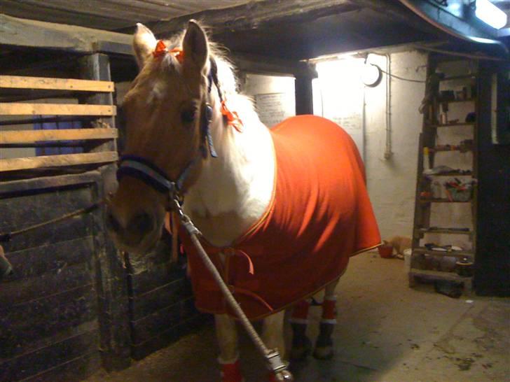 Julehygge på blis Rideklub billede 2