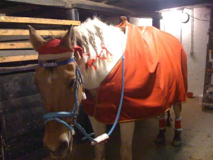 Julehygge på blis Rideklub billede 4