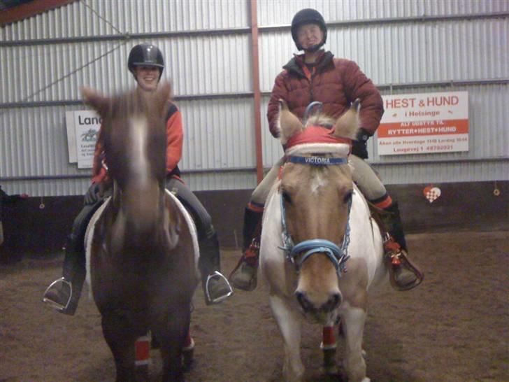 Julehygge på blis Rideklub billede 6